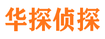 龙凤侦探公司